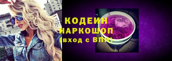 стаф Арсеньев